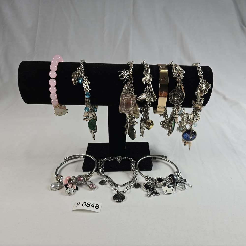 Lot of 10 Assorted Charm Bracelets Movie Disney Harry Potter Wicked Moana Minnie